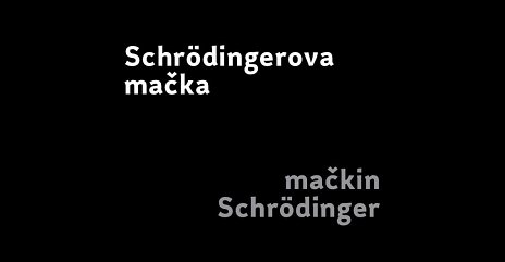 Ladislav Čarný: Schrödingerova mačka, mačkin Schrödinger