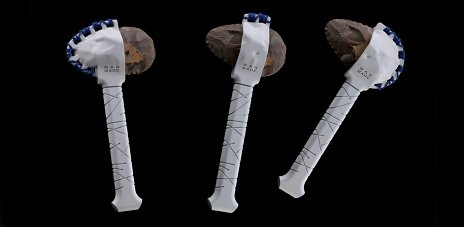 Prednška: Dov Ganchrow