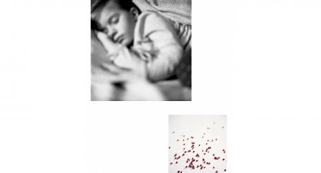 Jana Ilková: Family Album