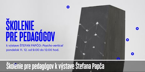 Školenie pre pedagógov k výstave Štefana Papča