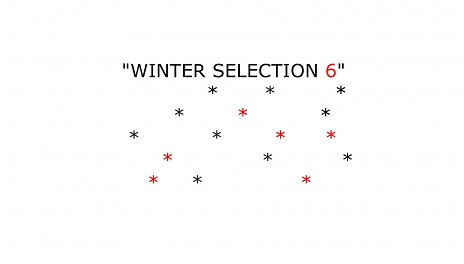 Winter Selection 6