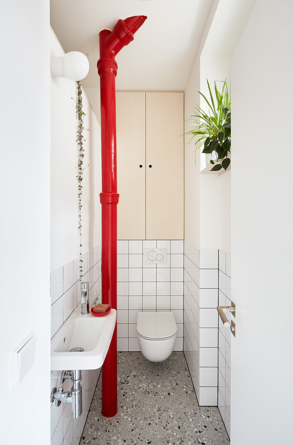 neprašova červená, foto: veronika raffajová