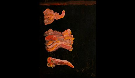 Vladimír Ganaj - Archeológia obrazu