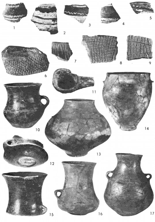 Výber keramického materiálu zo staršej fázy staršej doby bronzovej (kultúry kisapostágska, hatvanská a únětická; Točík 1986)