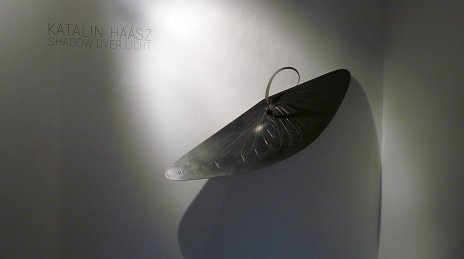 Katalin Haász: Shadow over light