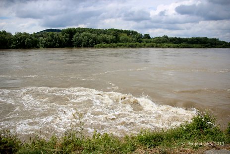 Pôvodné koryto Dunaja - Hľadanie vhodných riešení  v kontexte udržateľného manažmentu vodných tokov