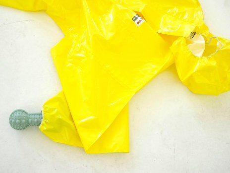 DEVON DIKEOU: TRICIA NIXON: SUMMER OF 1973