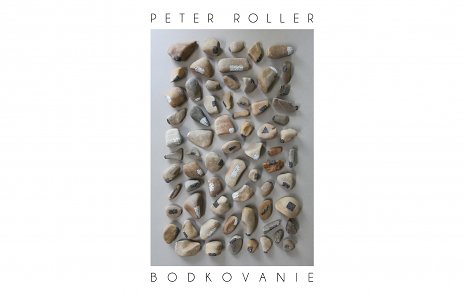 Peter Roller: Bodkovanie