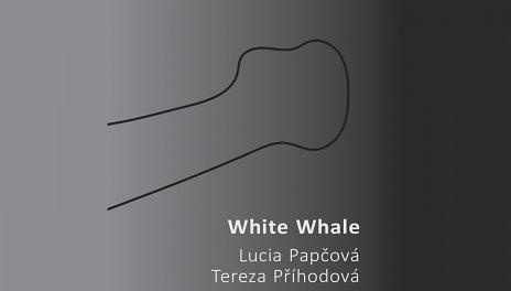 Lucia Papčová, Tereza Příhodová / White Whale